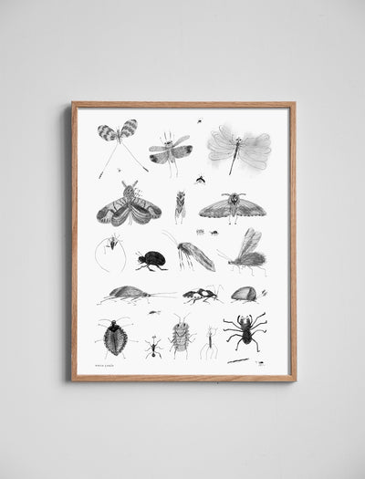 BUGS POSTER - 40×50 cm