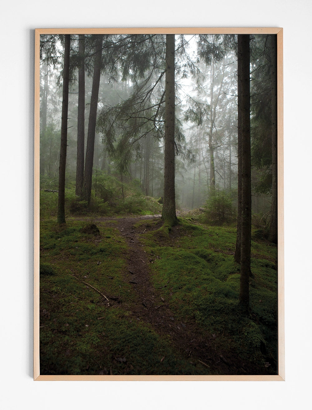 GLÄNTA POSTER - 50x70 cm