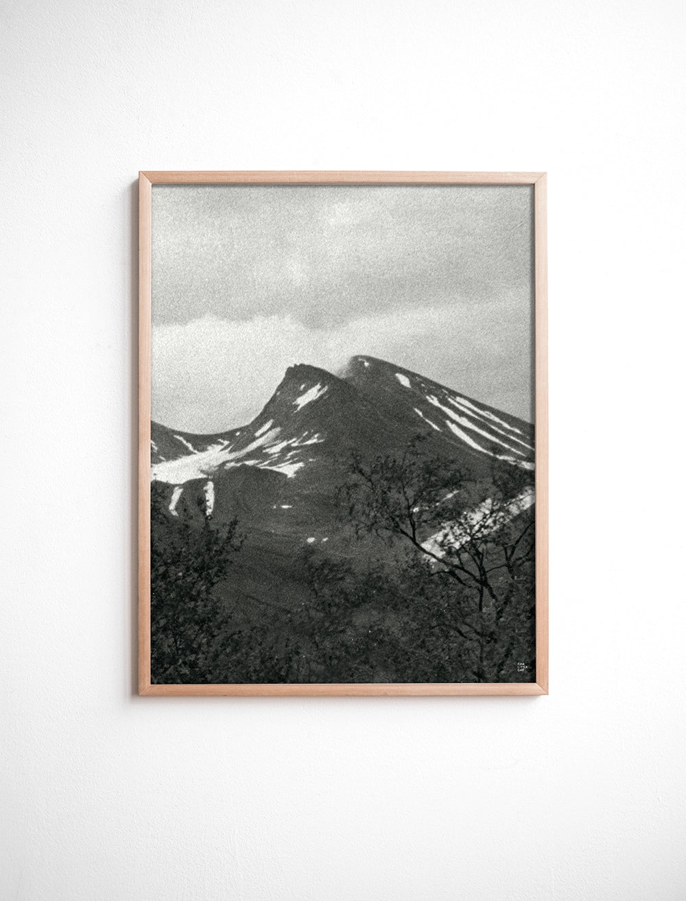 UP POSTER - 40x50 cm