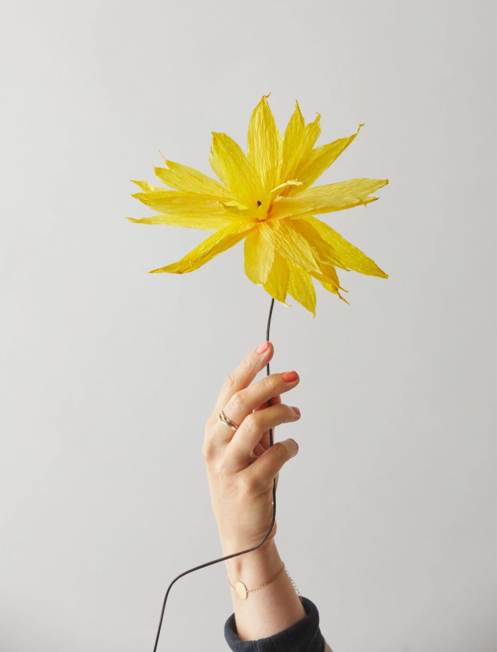 PAPIERBLUME, GELB – Kaktusdahlia