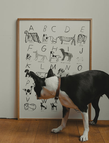 A Dog's /A Cat's イラスト大判ABCポスター 2枚/円筒容器 2_19b36ba5-df53-4ae1-88d7-