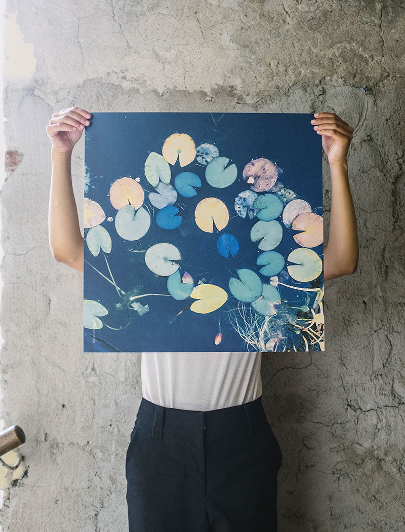 WATER LILIES POSTER – FINE LITTLE DAY