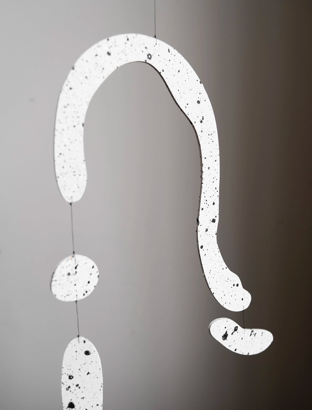 THE FRECKLED FACE MOBILE