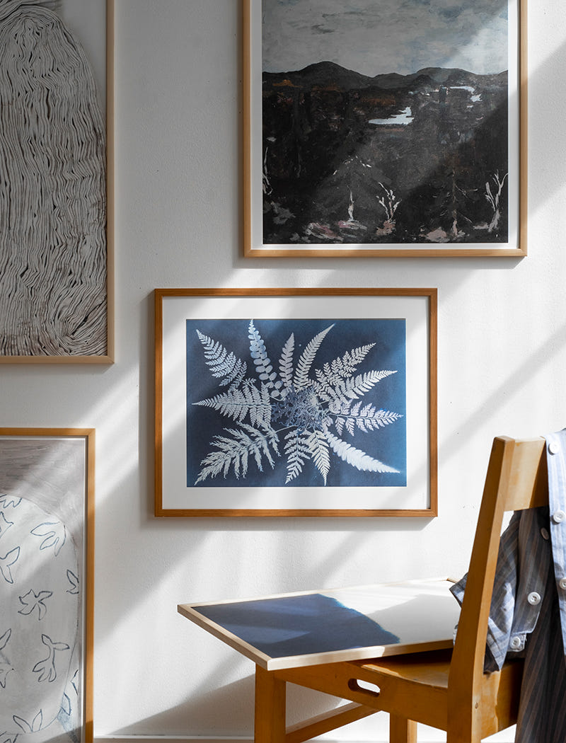 FERN STAR POSTER