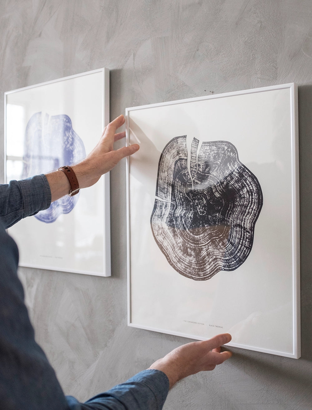 BLUE TREE RING POSTER