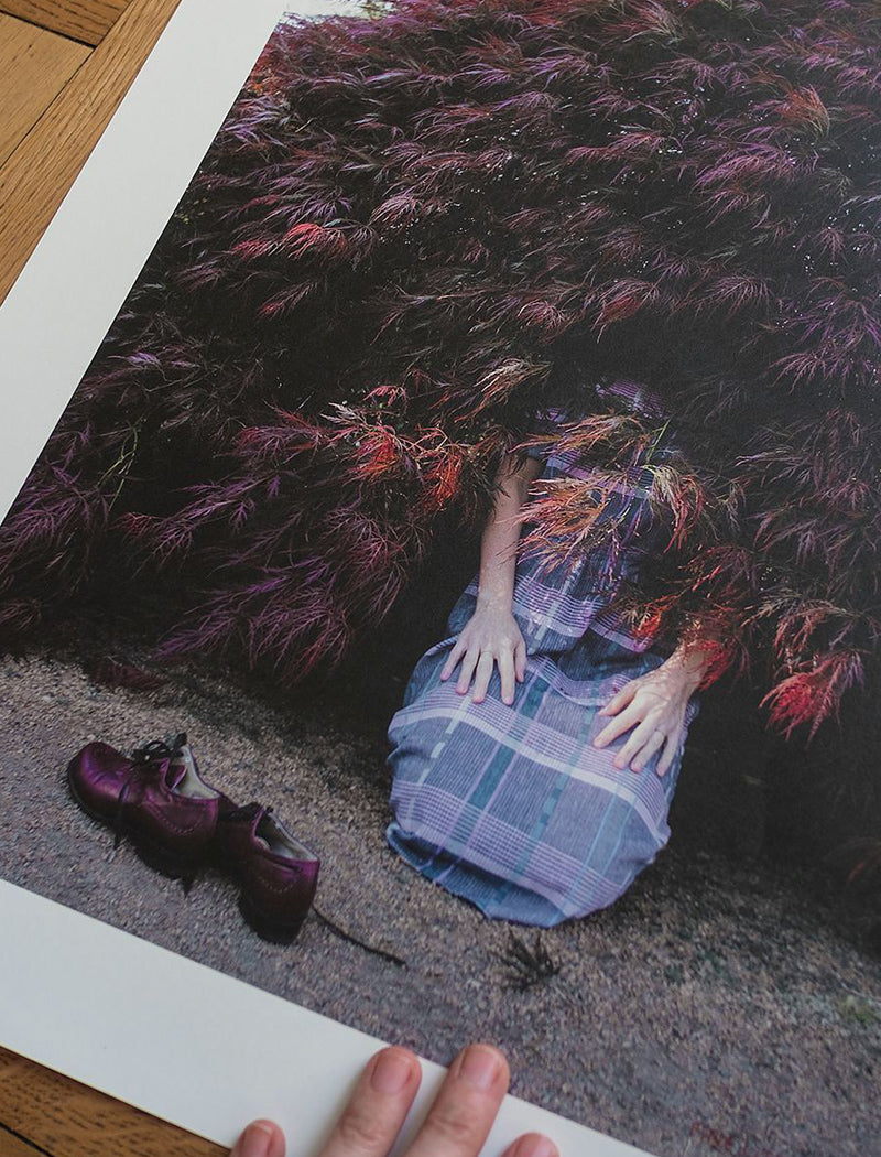 I Found a Bush Where I'll Live Now Poster