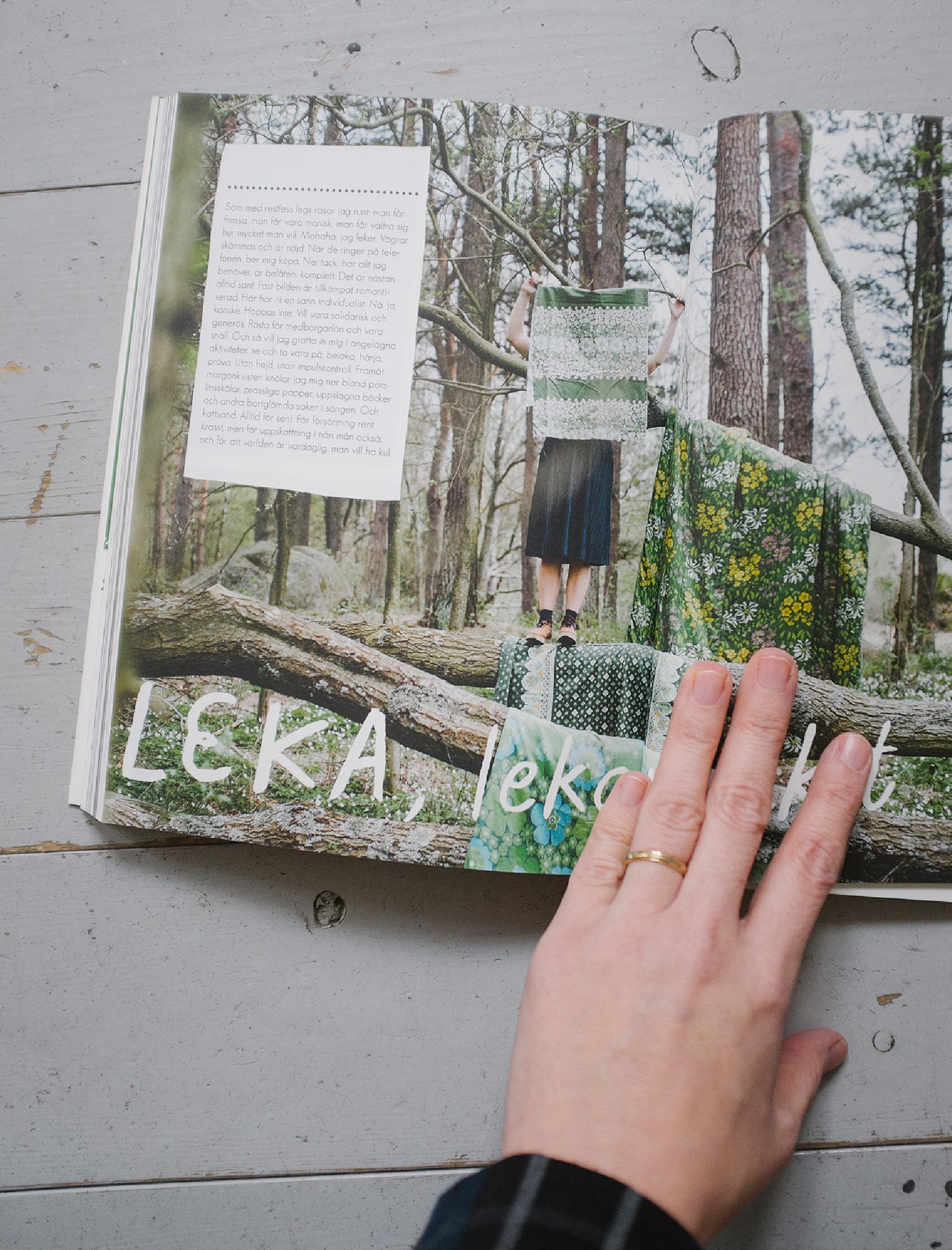 Fine Little Day Book, Swedish