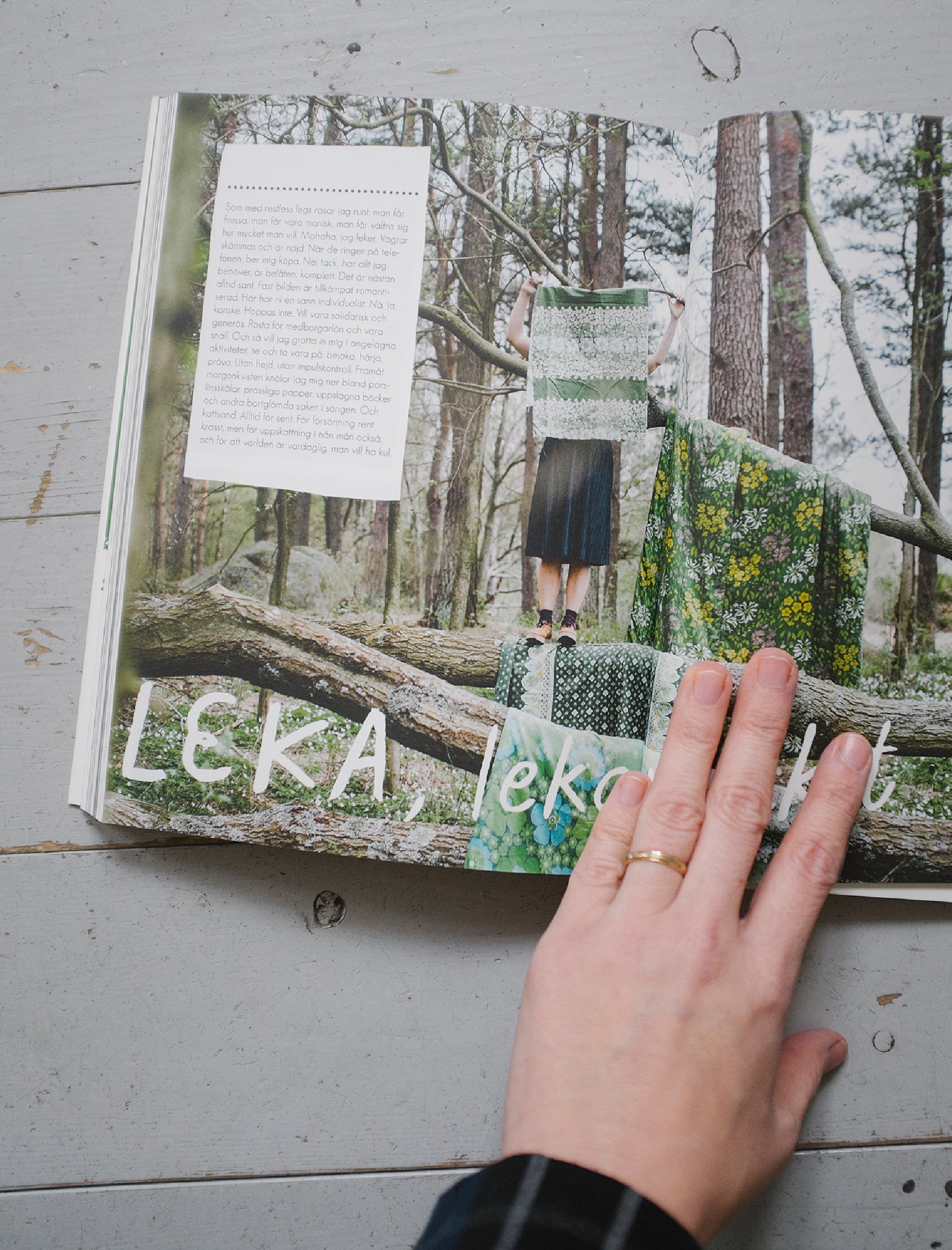 Fine Little Day Bok, Svenska