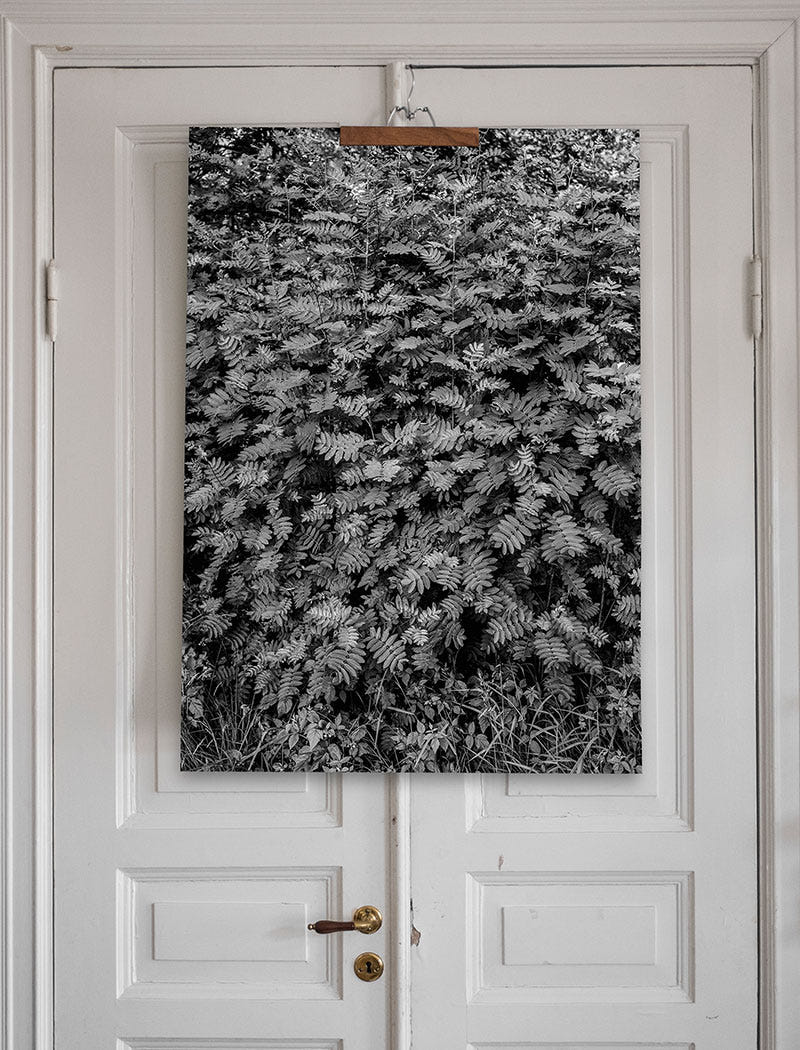 ROWAN POSTER