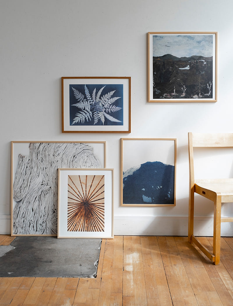 FERN STAR POSTER