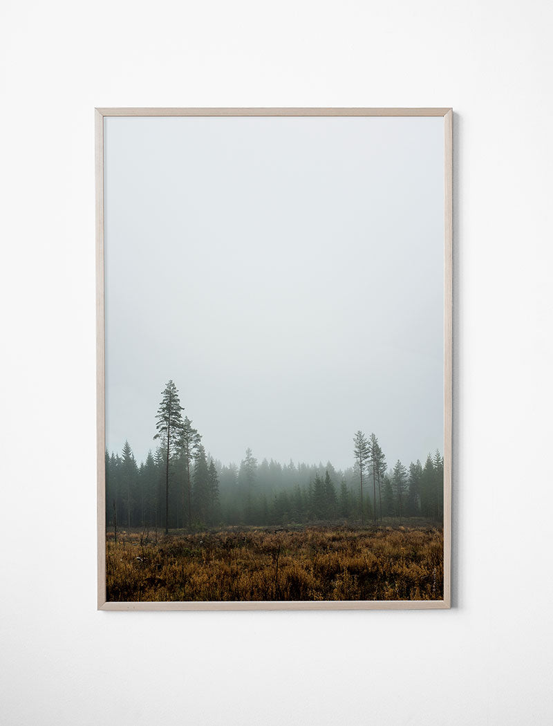 Skog Poster