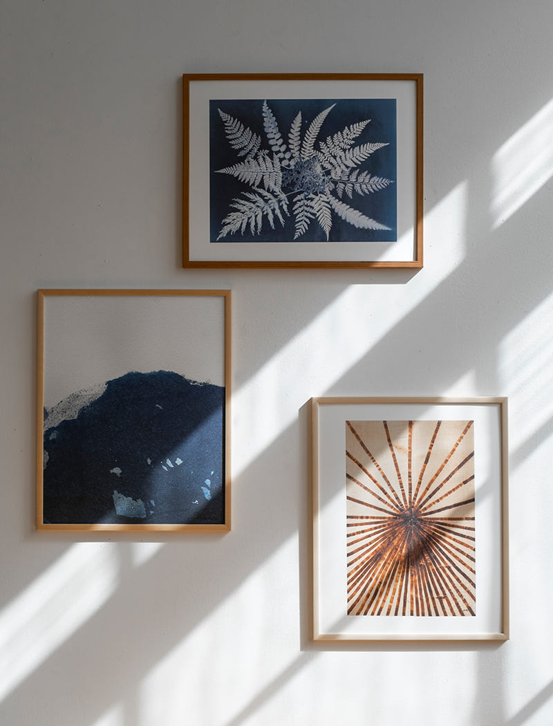 FERN STAR POSTER
