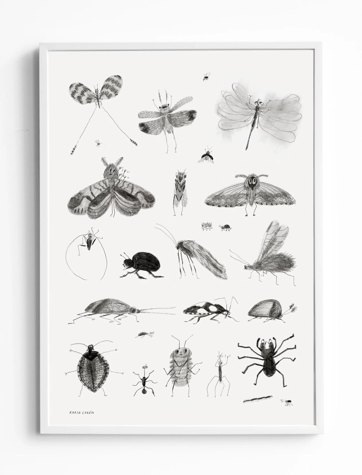 BUGS POSTER - 50x70 cm
