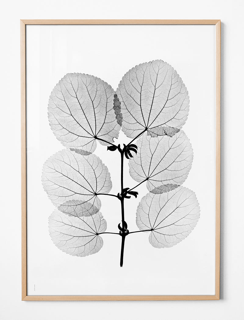 KATSURA POSTER