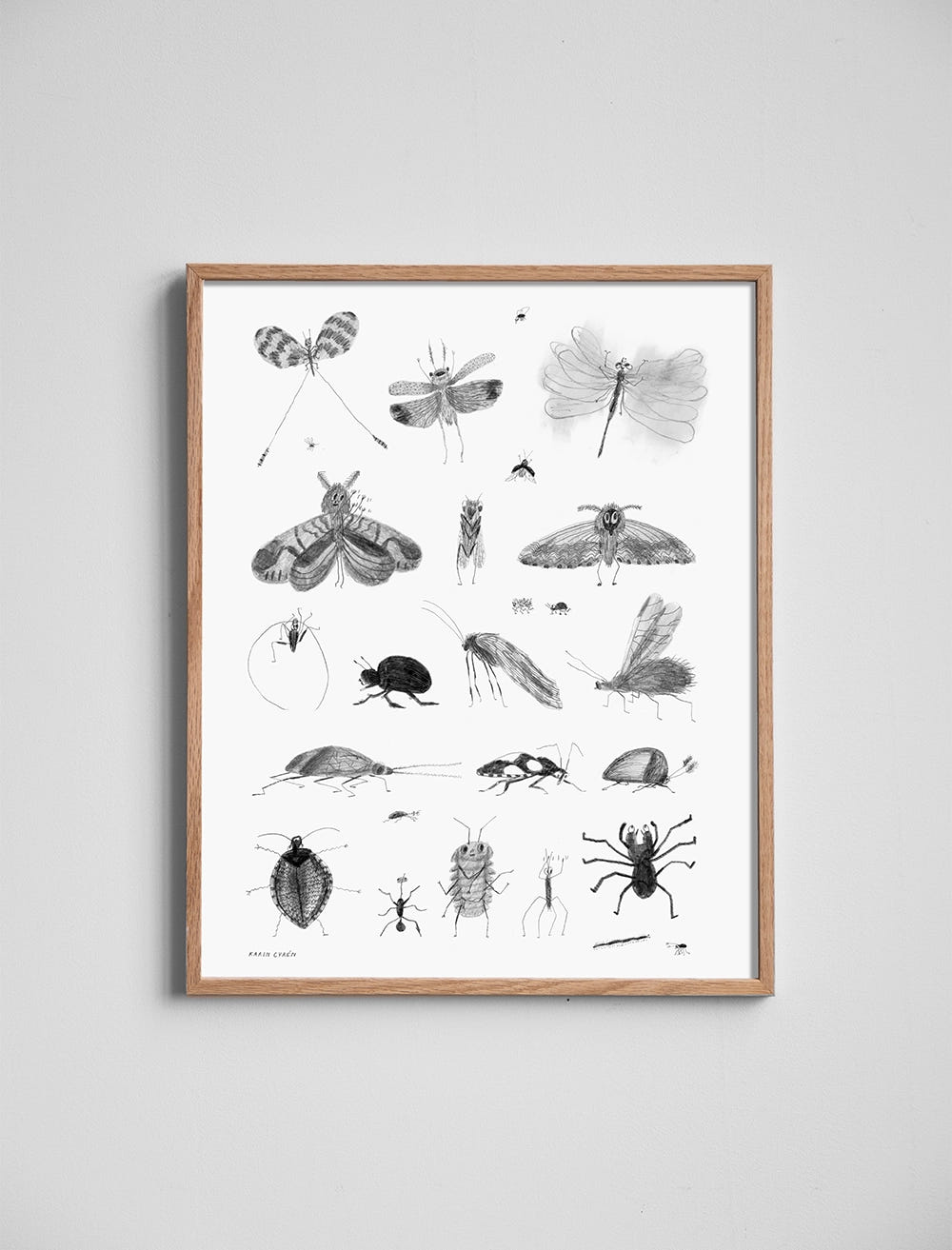 BUGS POSTER - 40×50 cm