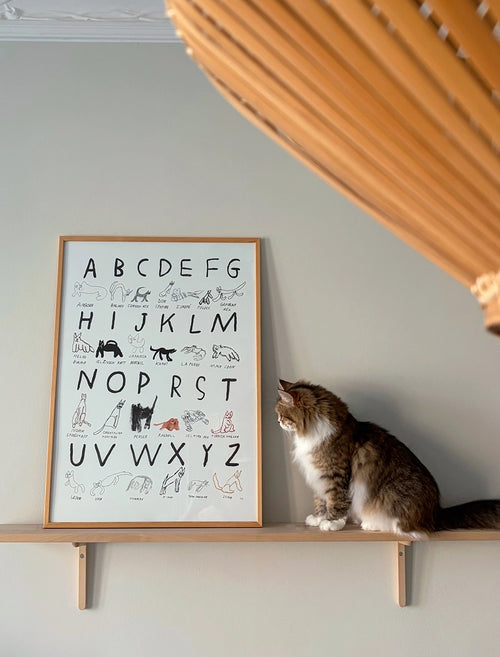 ABC CATS POSTER - 50x70 cm