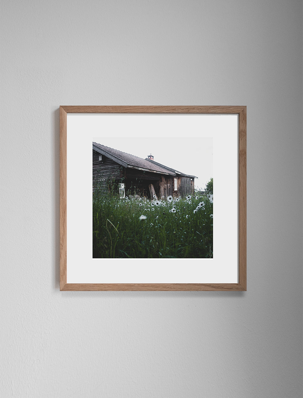 DALARNA POSTER - 50x50 cm