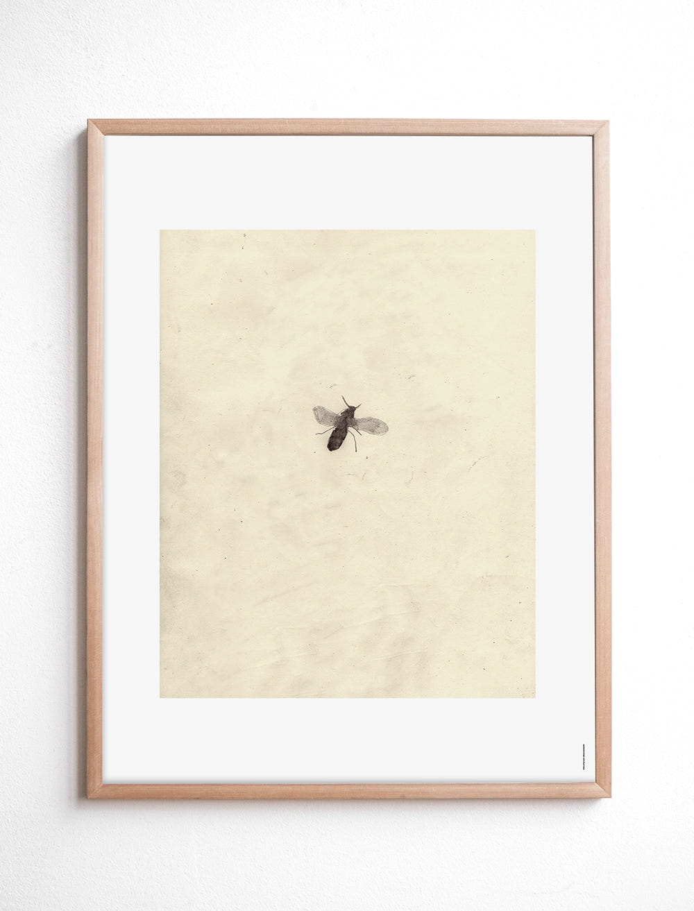 FLY POSTER - 40x50 cm