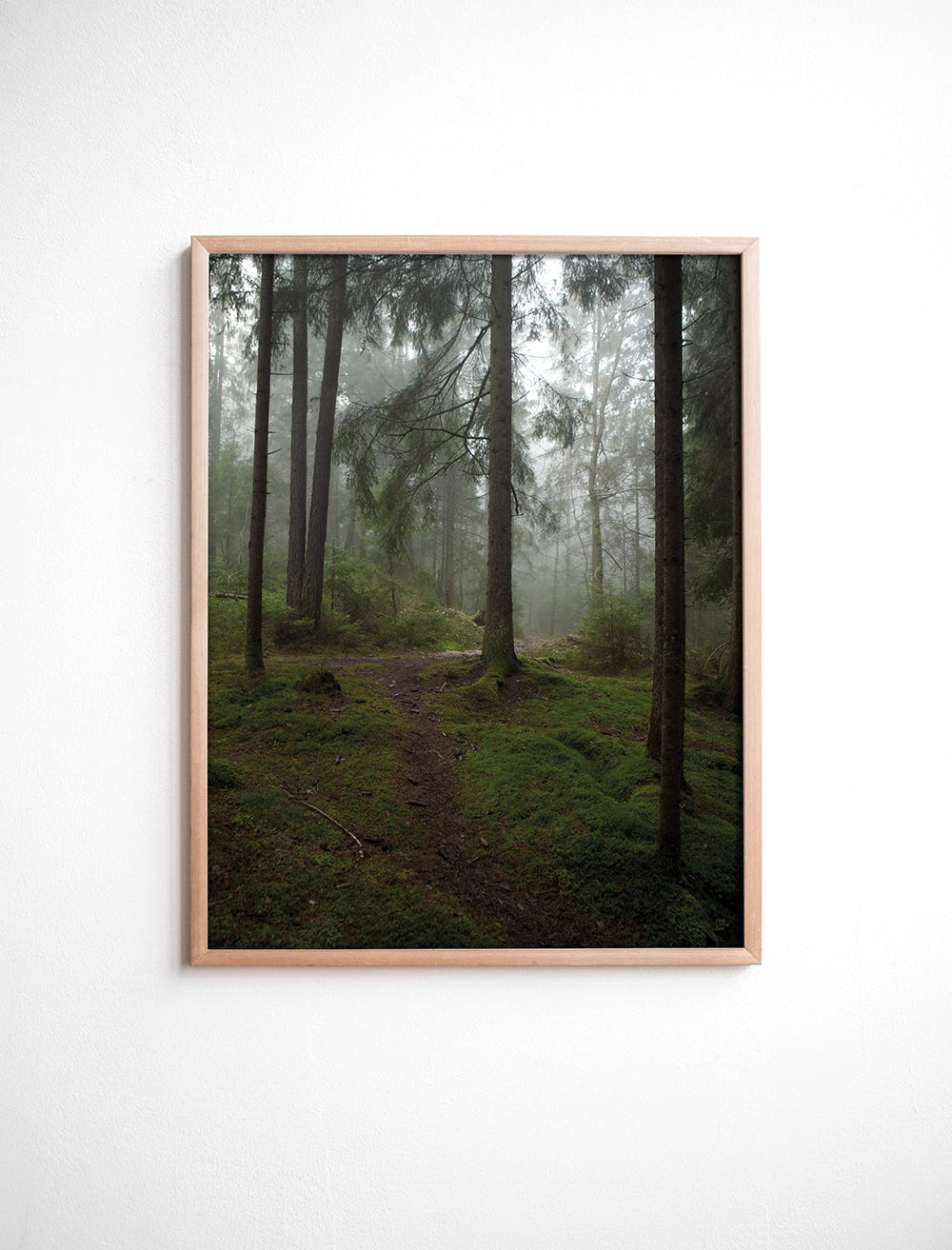 GLÄNTA POSTER - 40x50 cm