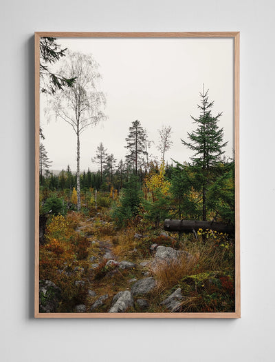 NORRLAND POSTER - 100x140 CM