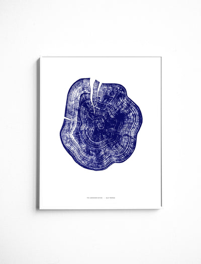 BLUE TREE RING POSTER