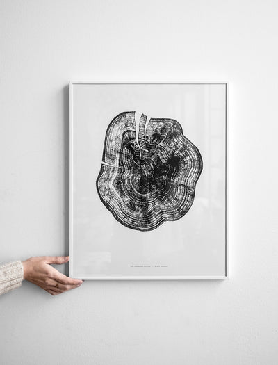 BLACK TREE RING POSTER