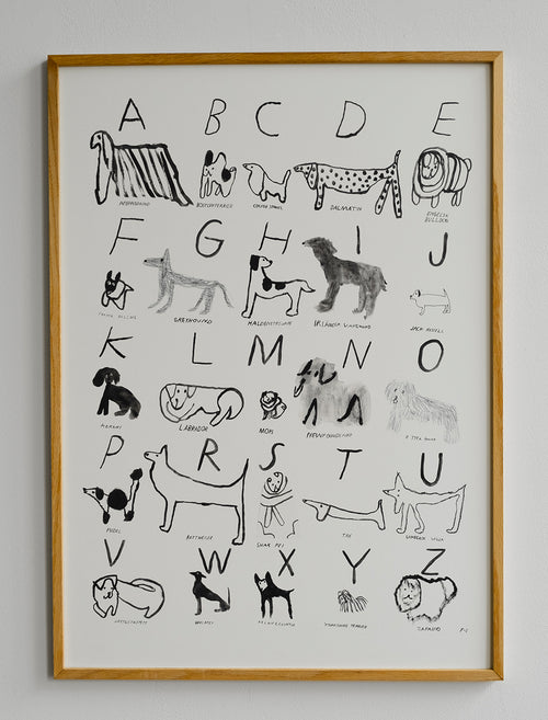 ABC DOGS POSTER - 50x70 cm