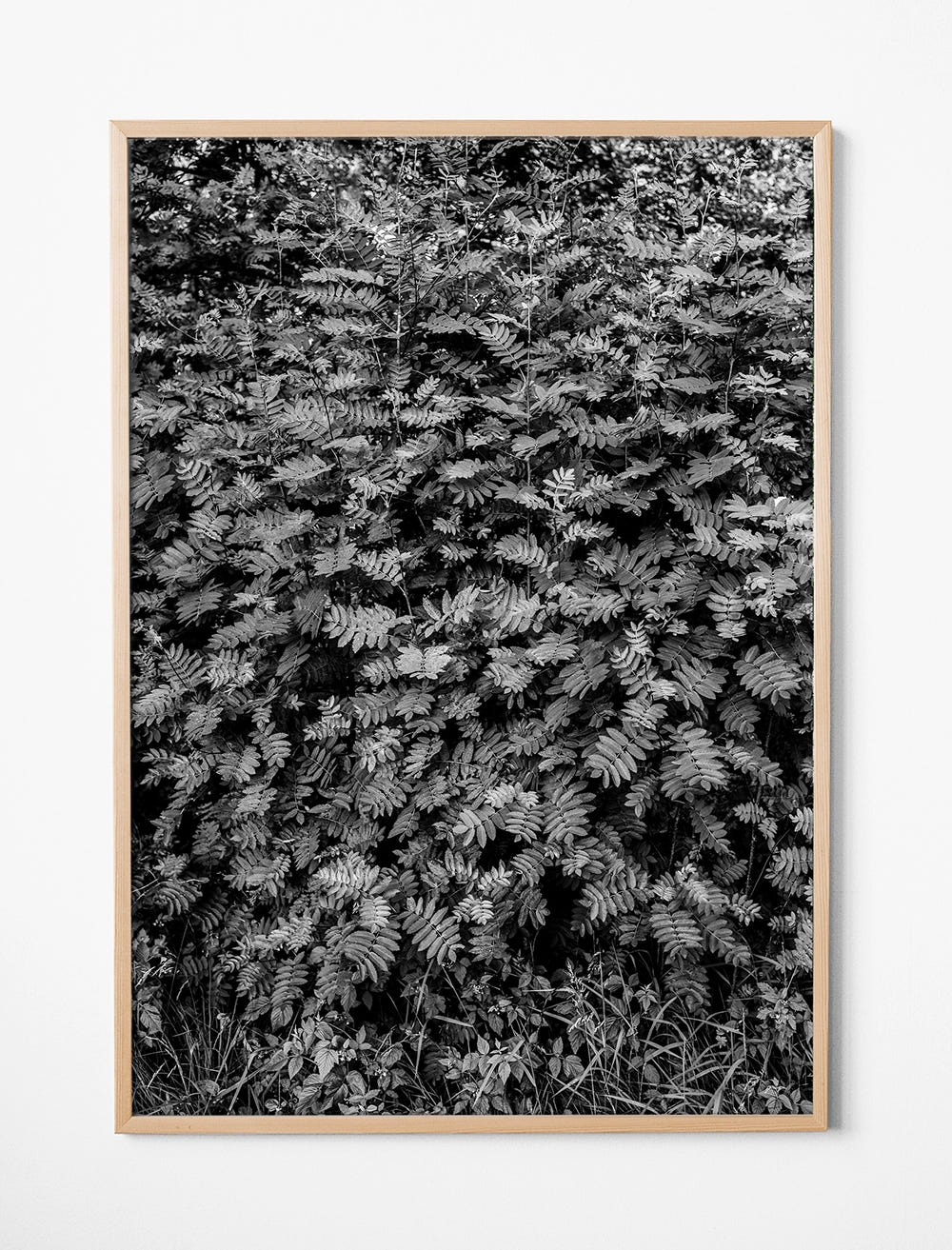 ROWAN POSTER