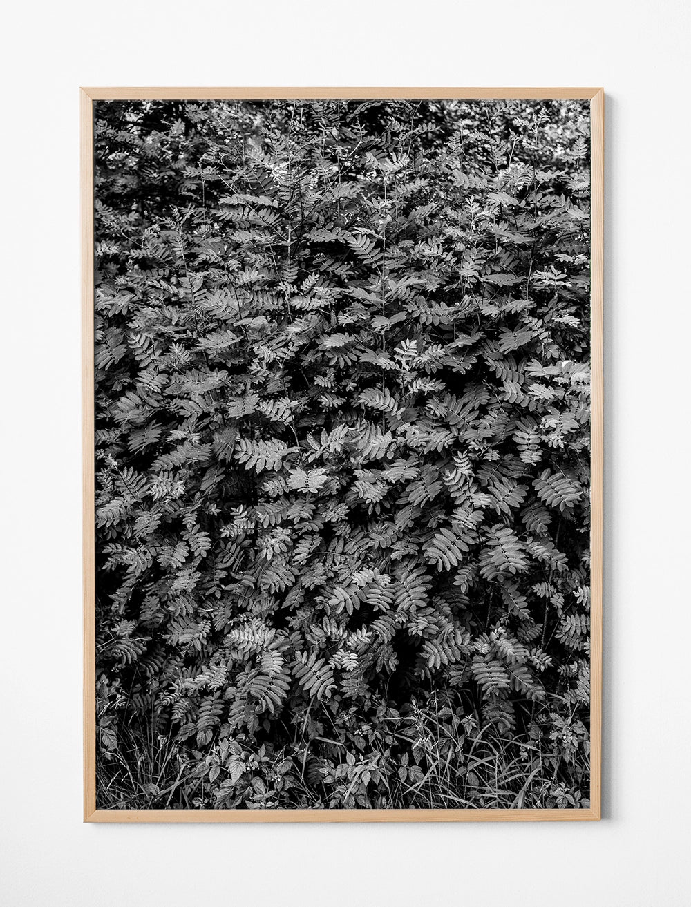 ROWAN POSTER - 70x100 cm