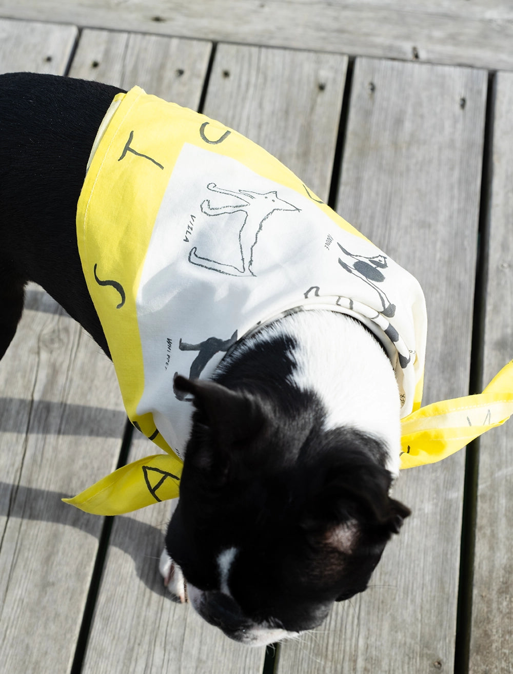 ABC DOGS SCARF, WHITE/YELLOW