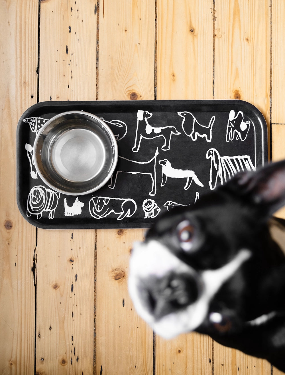 DOGS BRICKA, SVART