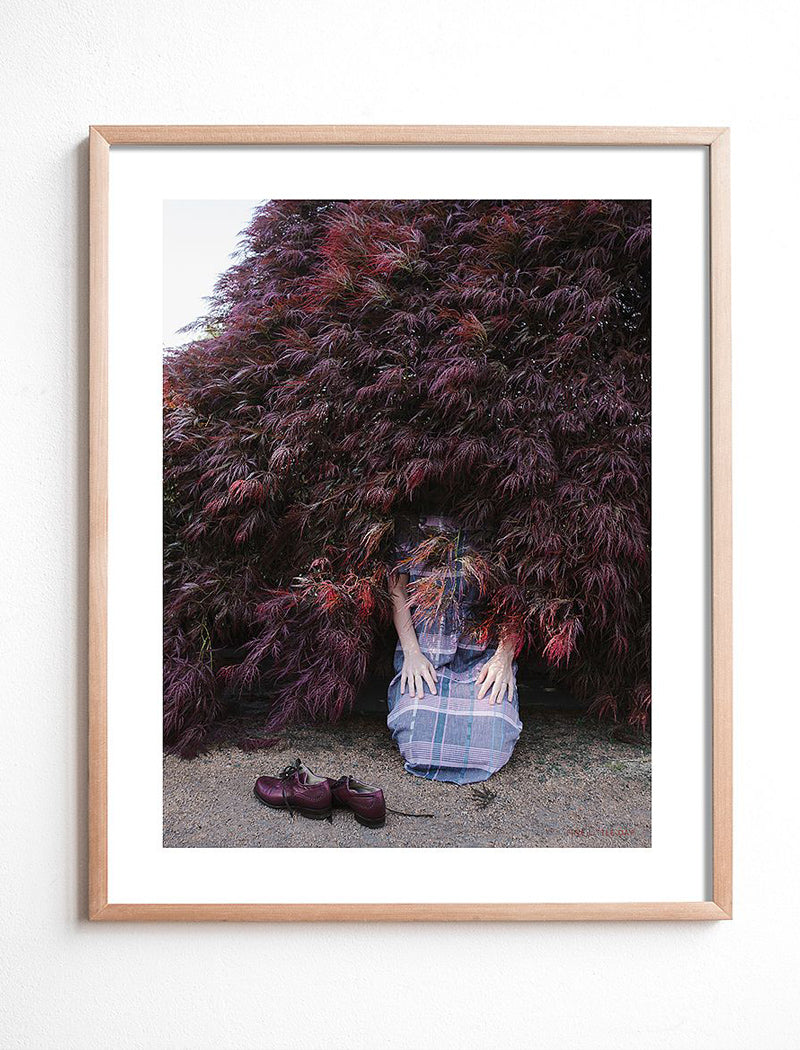 I Found a Bush Where I'll Live Now Poster