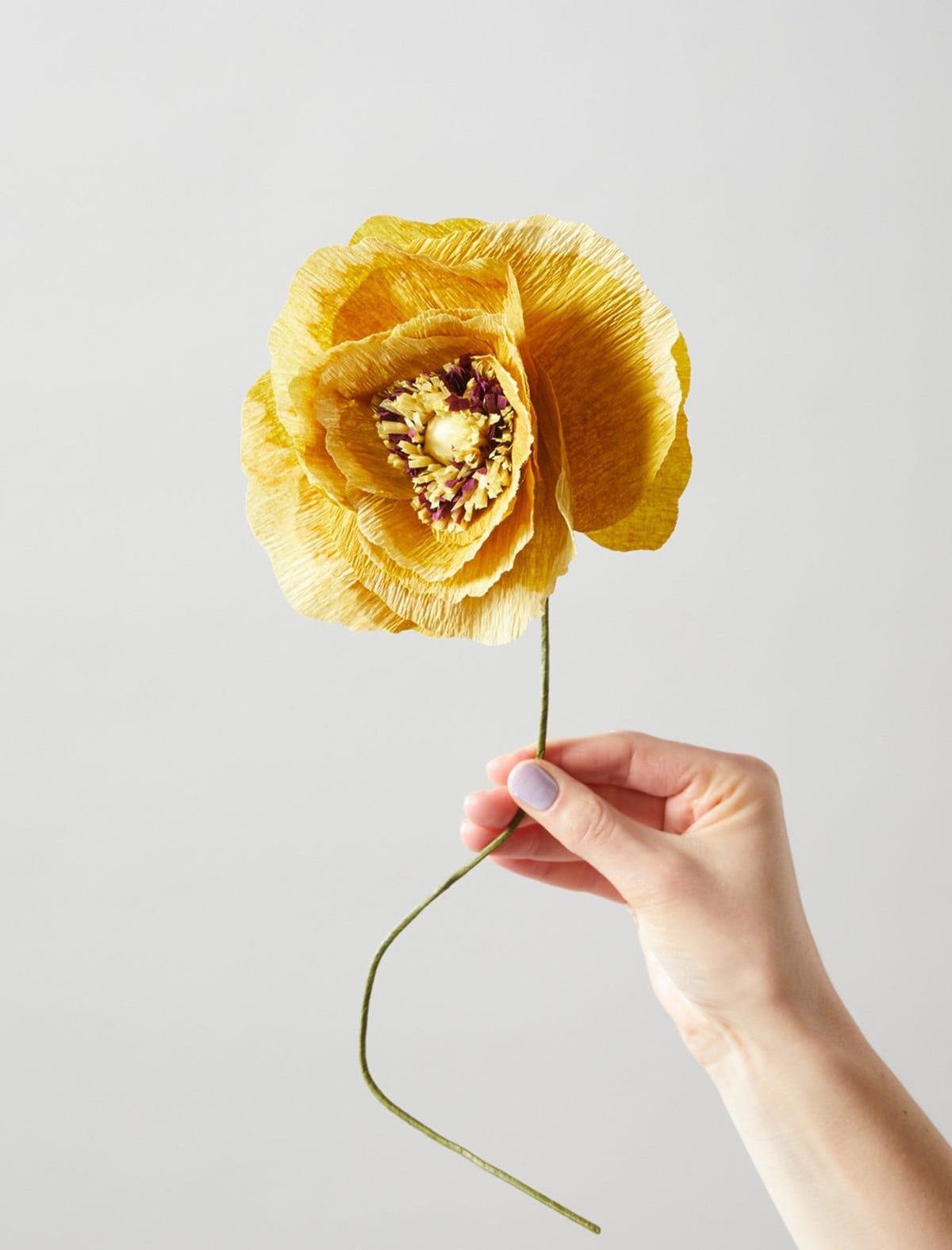 PAPIERBLUME, GELB – Mohnblume