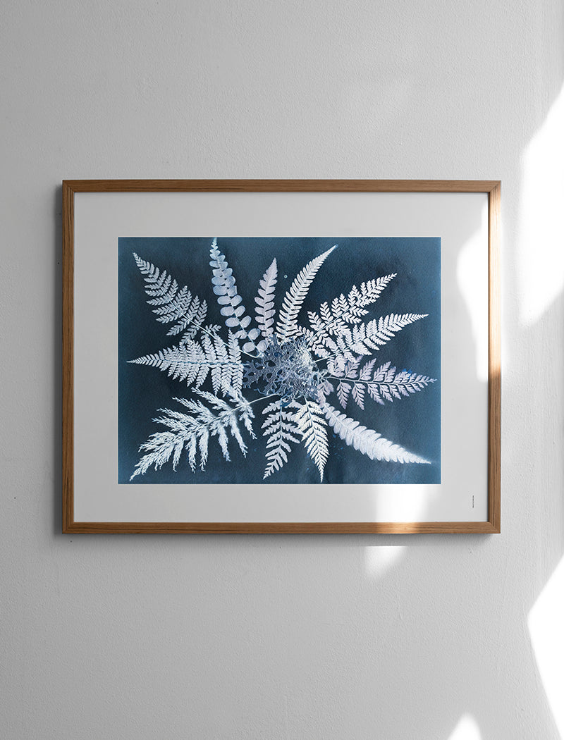 FERN STAR POSTER - 40x50 cm