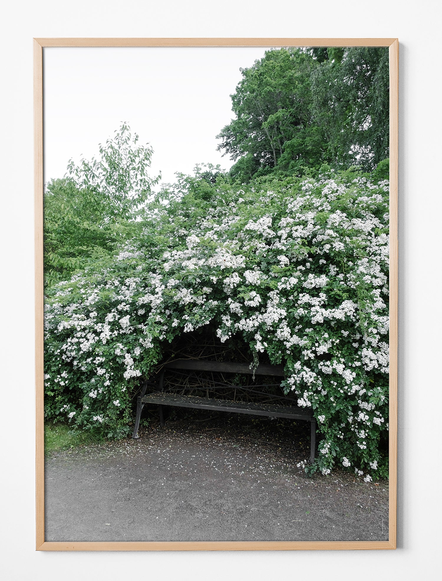 STILL POSTER - 70x100 cm