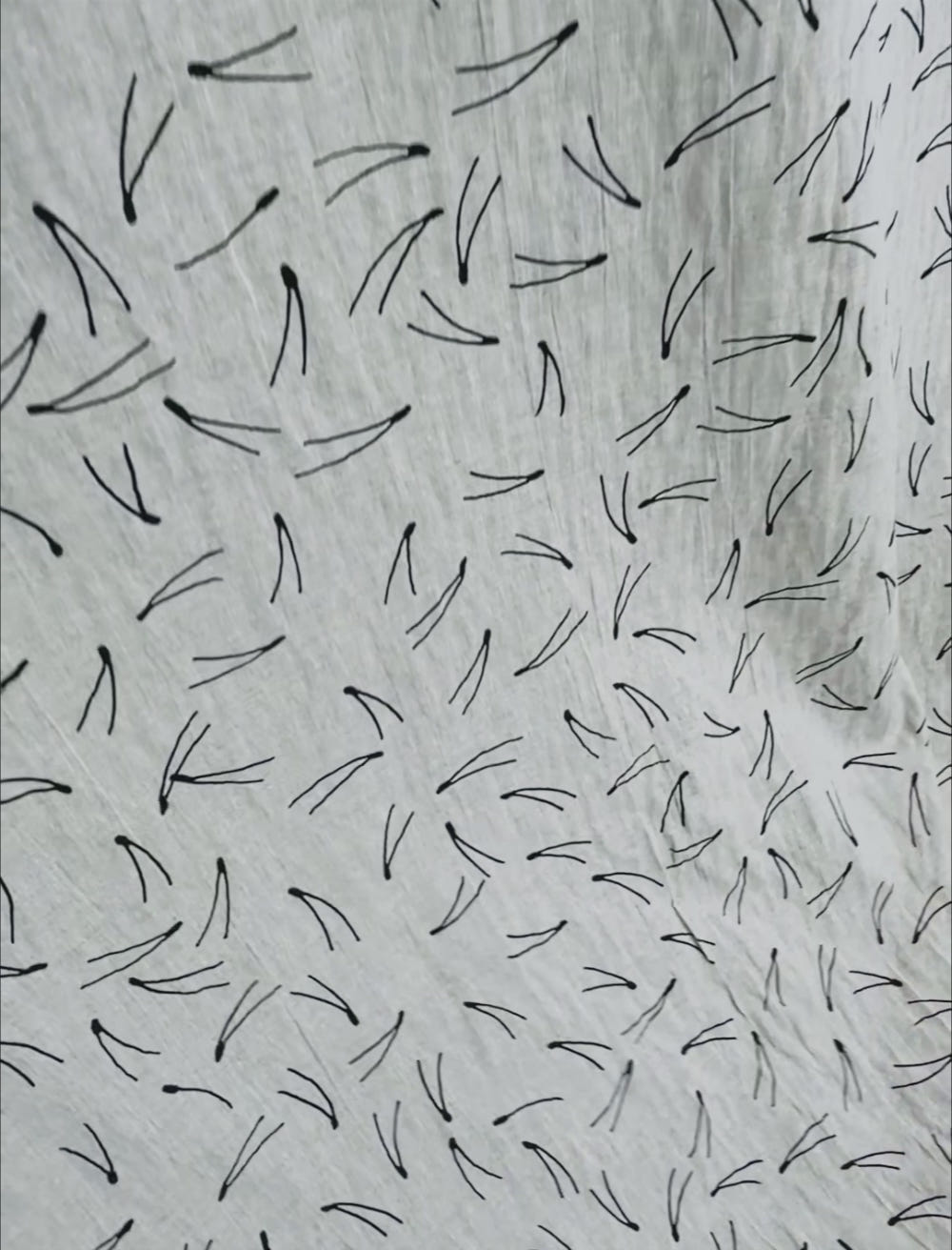 BARR FABRIC BY THE METRE, NATURE/BLACK