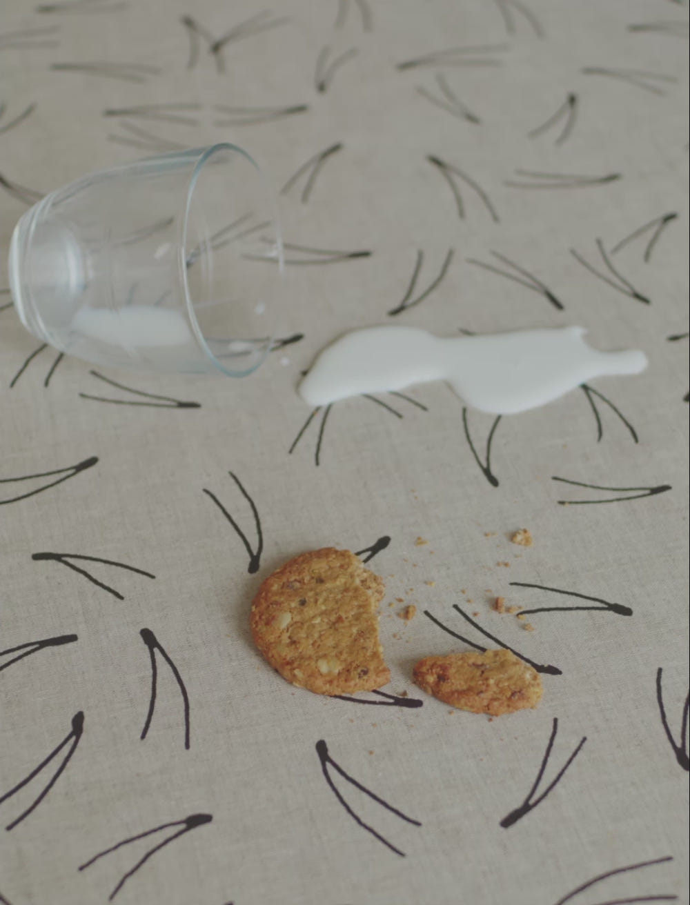 BARR COATED COTTON FABRIC, NATURE/BLACK