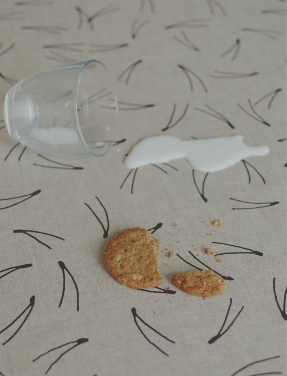 BARR COATED COTTON, NATURE/BLACK